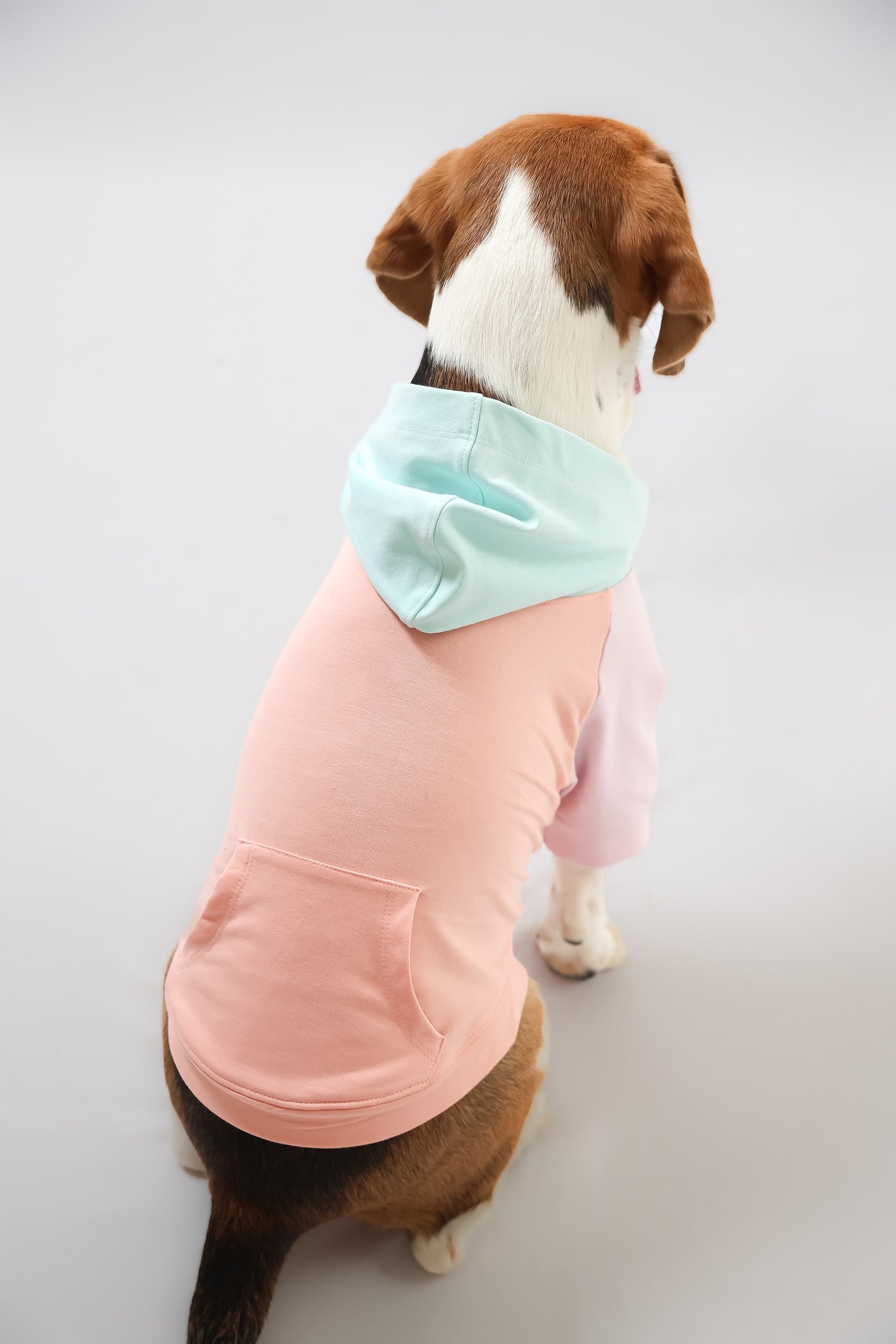 2R Product back - Peachy Beachy Dog Hoodie-min