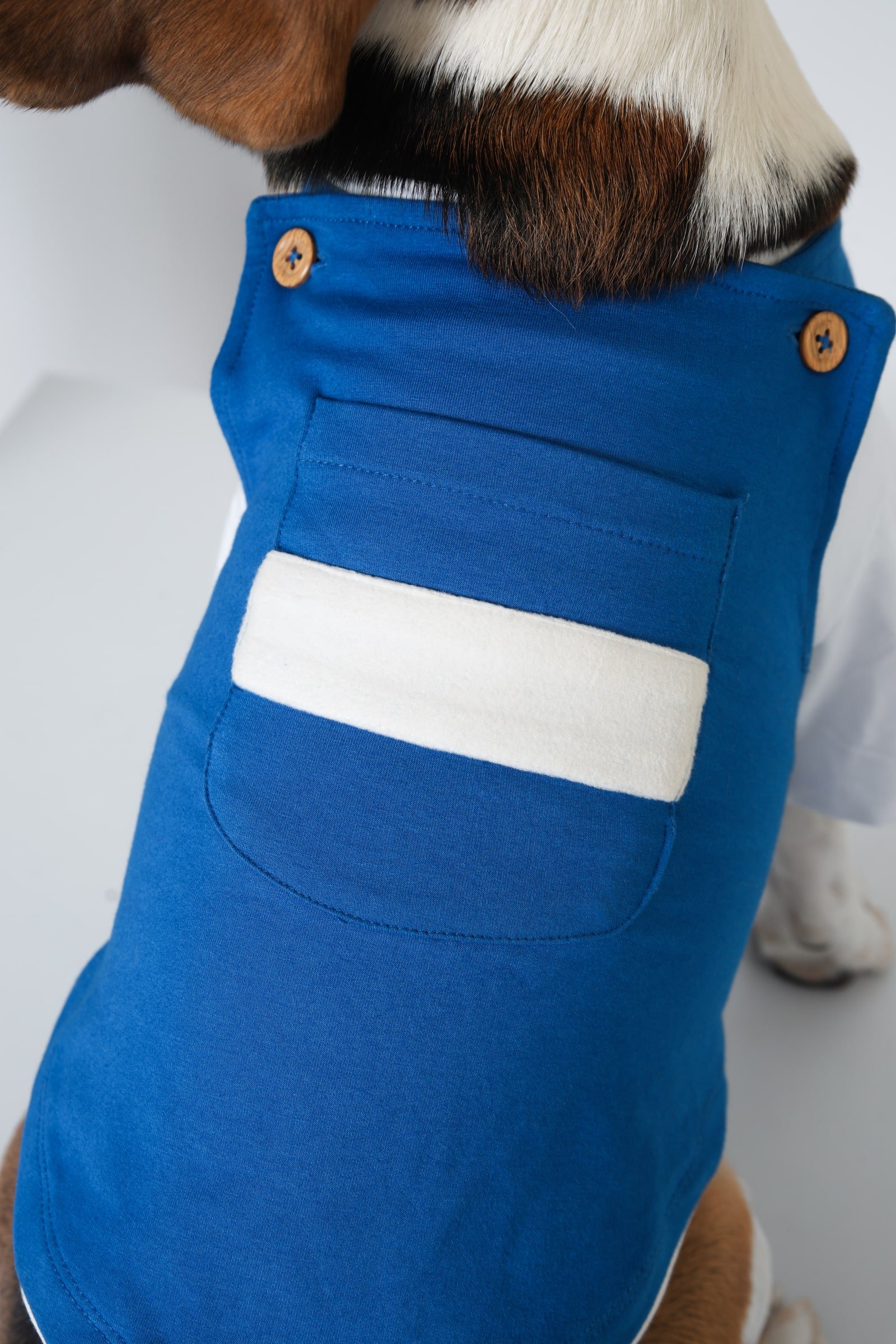 5 Blue Buckle Dog Clothes Dungaree