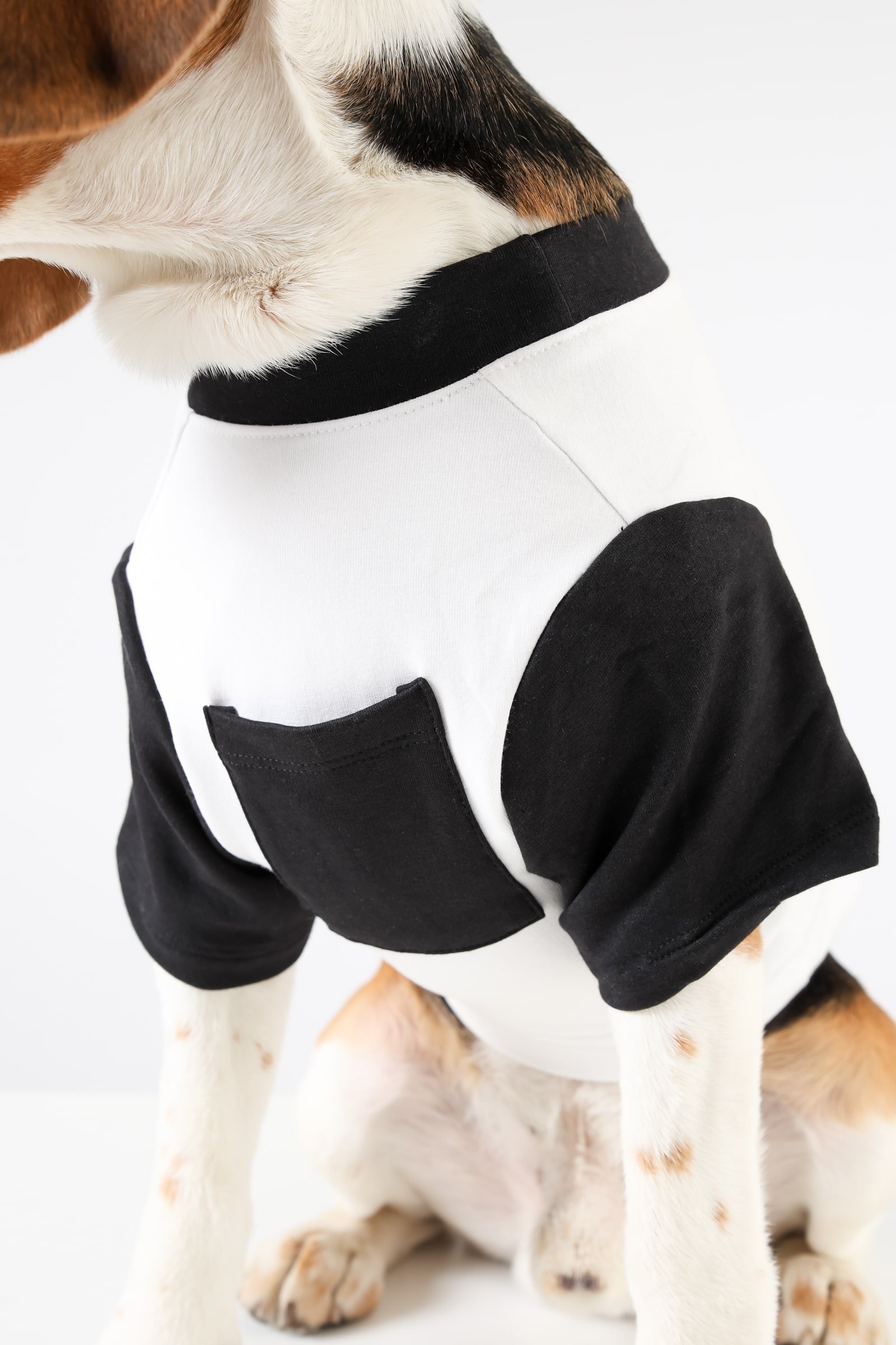 2 Vintage Dog Tshirt